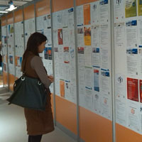 Prześwietlamy oferty pracy